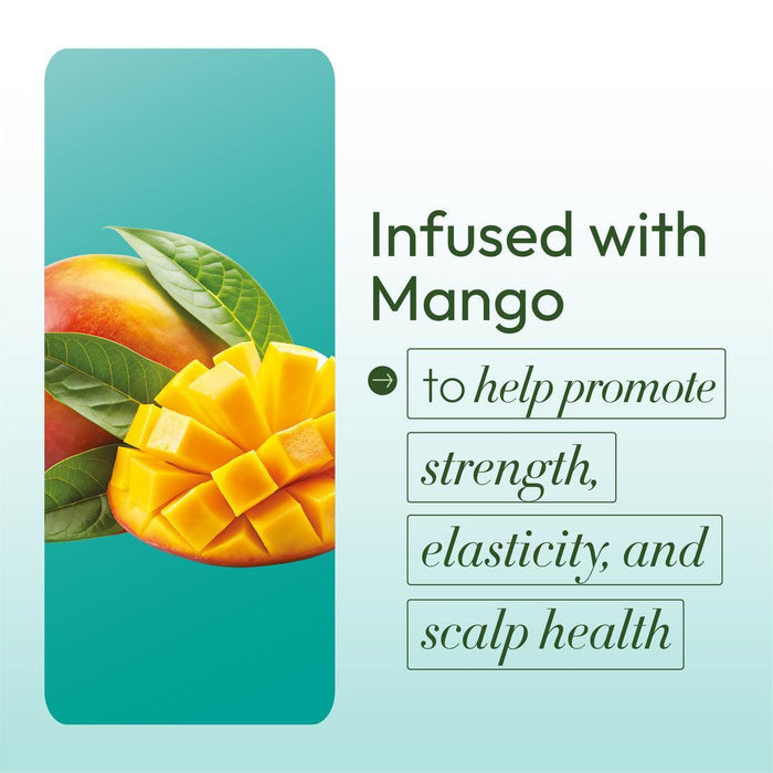 ORS Olive Oil Goodbye Dry Thirst Quencher Shampoo 12oz