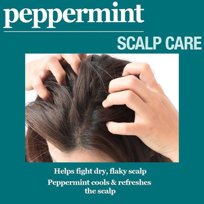 Difeel Peppermint Scalp Care Shampoo 12oz