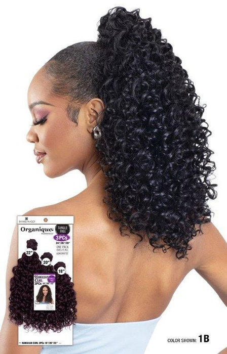 Shake N Go Organique Hawaiian Curl 3pcs 18"/20"/22"
