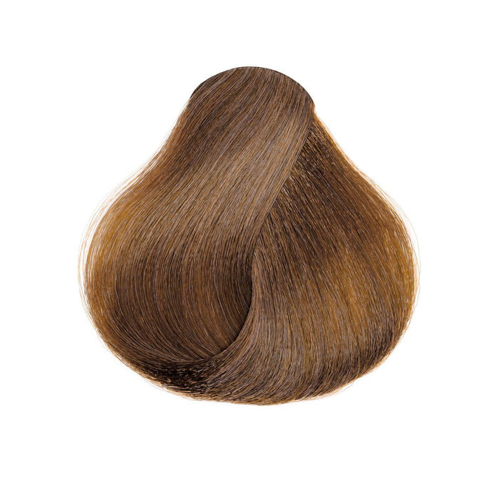 L'Oreal Excellence HiColor 1.74oz - H3 Soft Brown